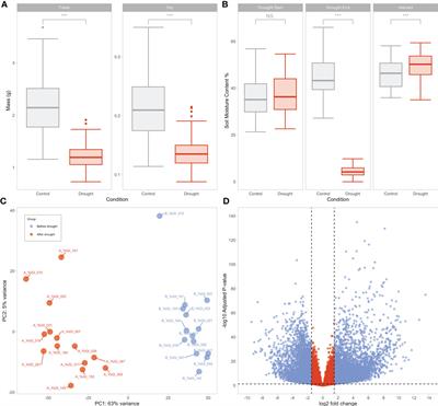 Transcriptomic and co-expression network analyses on diverse wheat landraces identifies candidate master regulators of the response to early drought